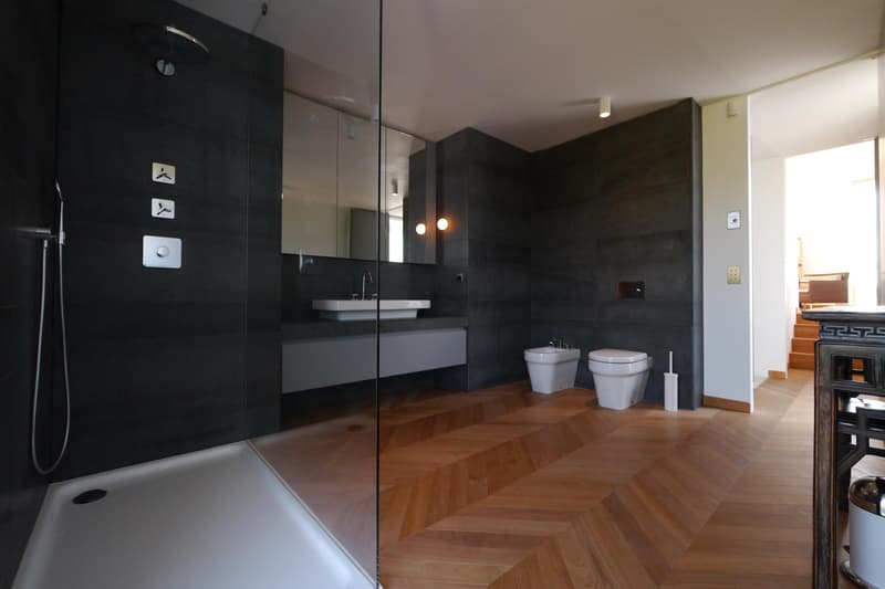 Villa contemporaine à Vésenaz (8)
