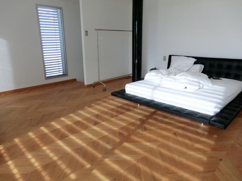 Villa contemporaine à Vésenaz (9)