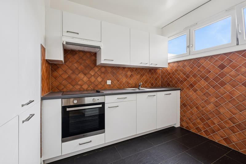 Appartement de 4 pièces à Vernier (10)