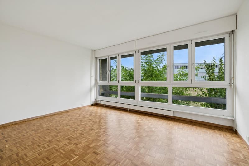 Appartement de 4 pièces à Vernier (1)