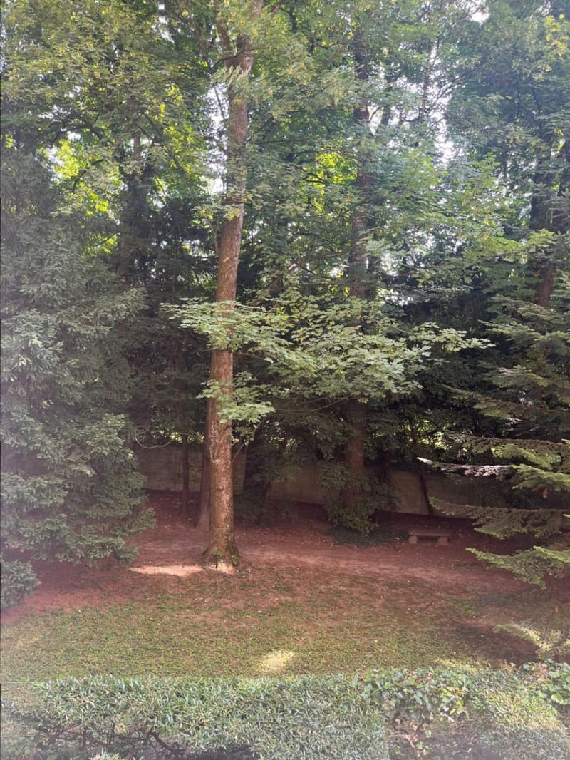 Matutina Parc - 3.5 pièces au 1er étage (9)