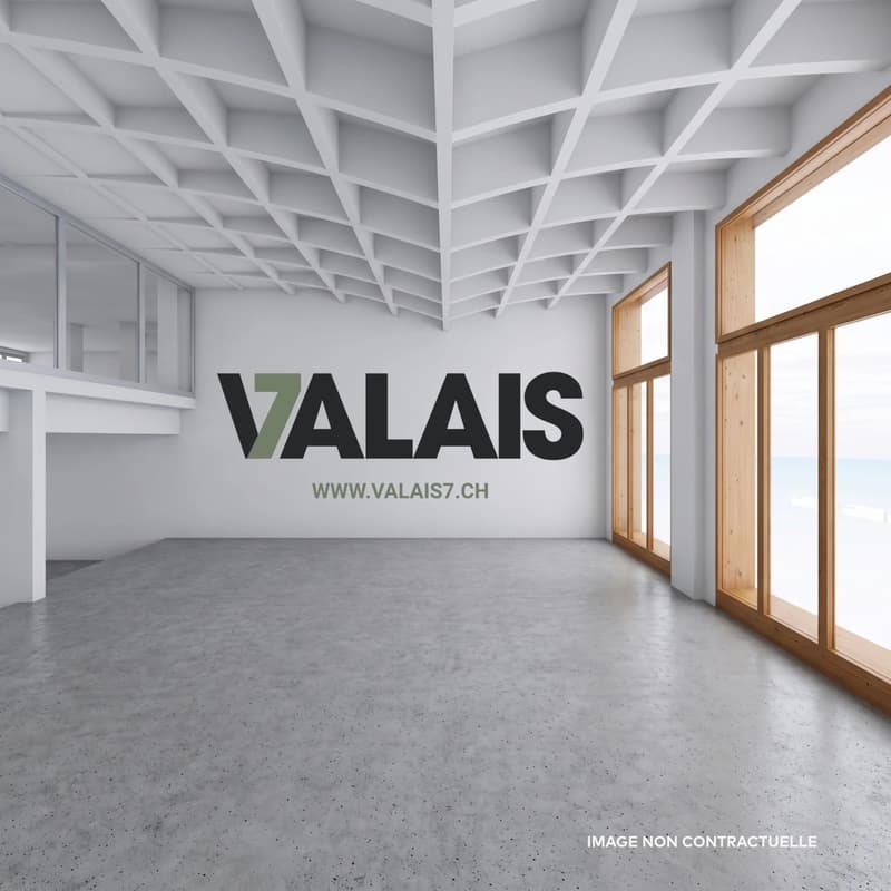 VALAIS 7 - Surface administrative d'env. 127 m² A LOUER (3)