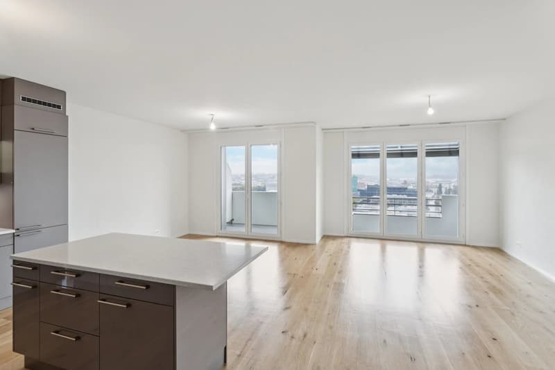 Appartement lumineux, traversant (6)