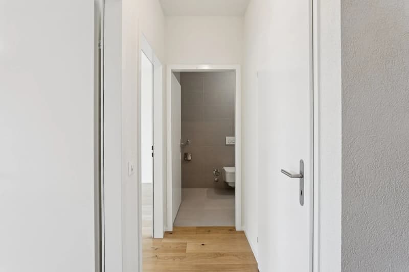 Appartement lumineux, traversant (13)