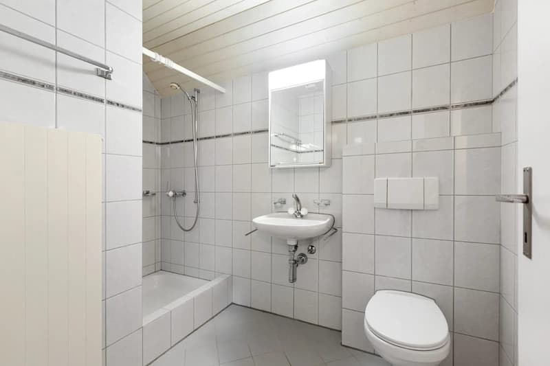 5.5-Zimmer-Dachwohnung mit Cheminée in Bonau (12)