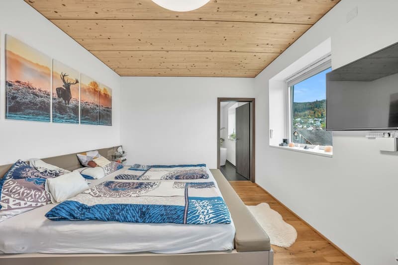 3.5-Room Attic Apartment (7)