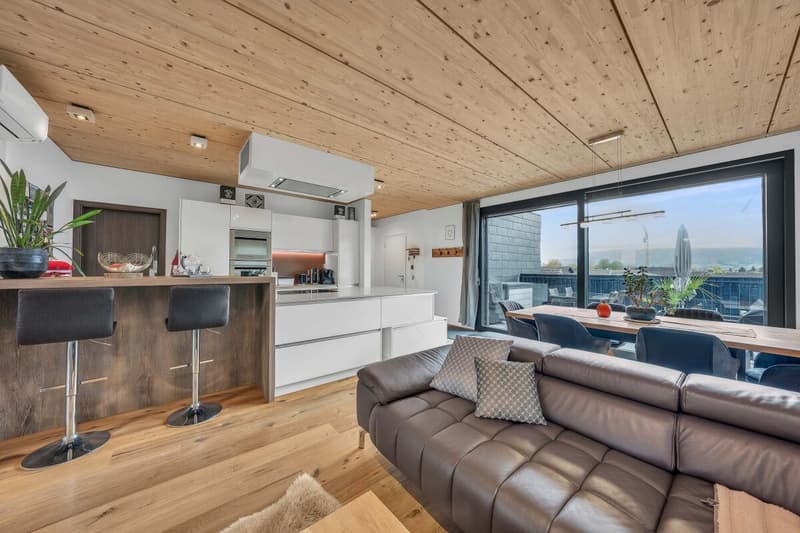 3.5-Room Attic Apartment (3)