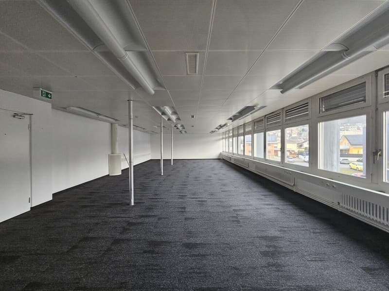 Locaux commerciaux (5)