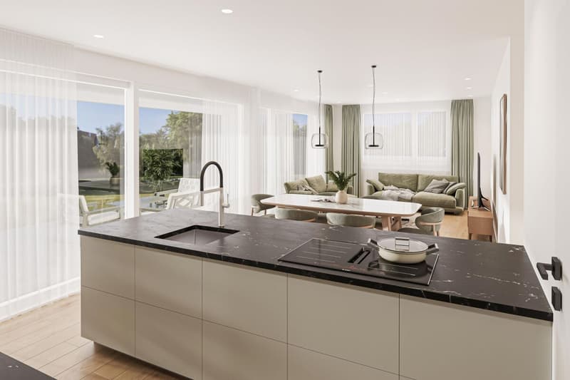 Projet de construction neuve "HUS Nöllen" (3)