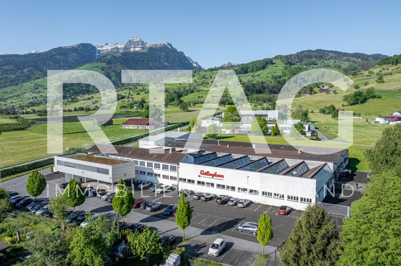 Commercial property with building land reserve (1)