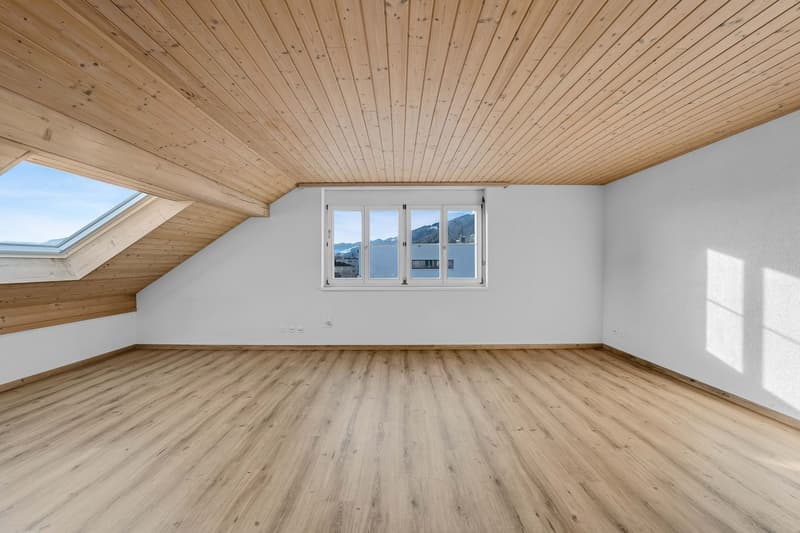 4.5-Room Apartment (4)