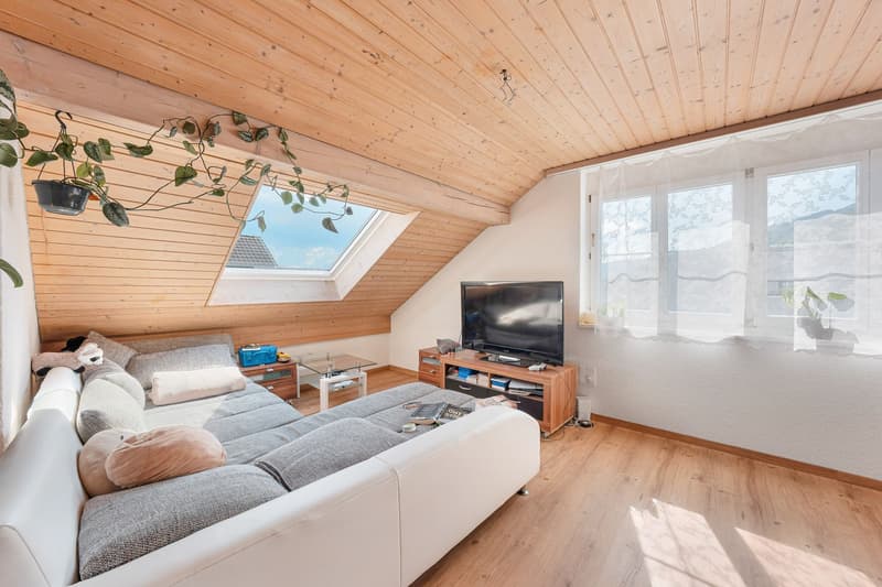 4.5-Room Apartment (3)
