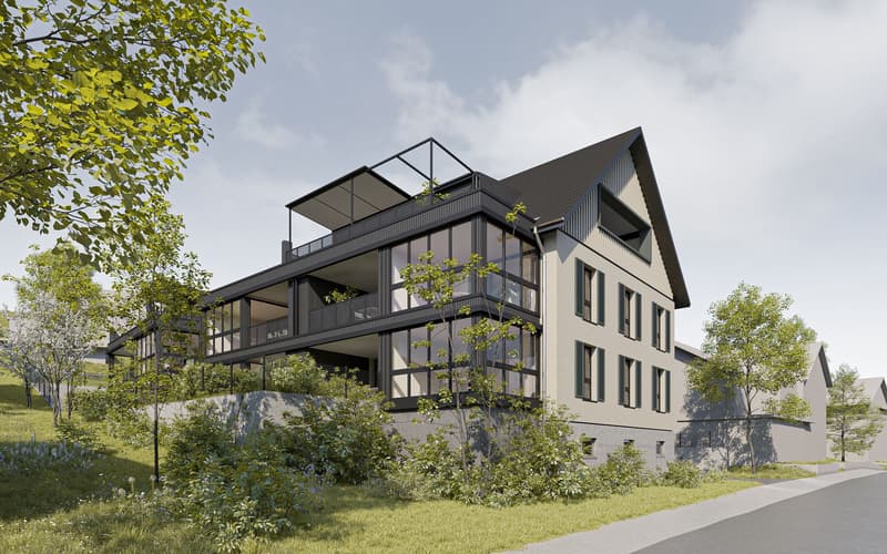 New construction project "Lilly and Heiri" (4)