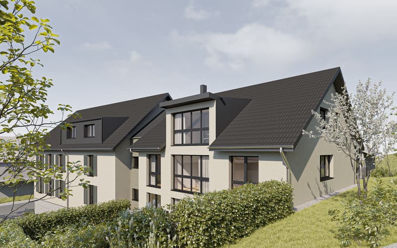 New construction project "Lilly and Heiri" (4)