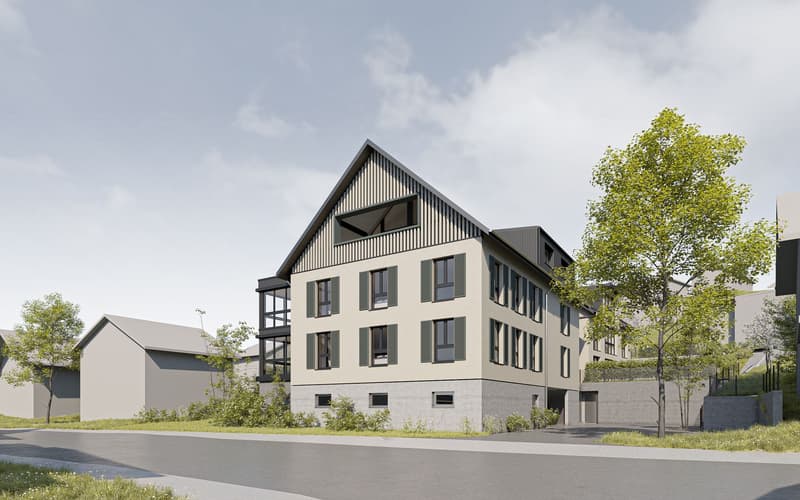 New construction project "Lilly and Heiri" (5)