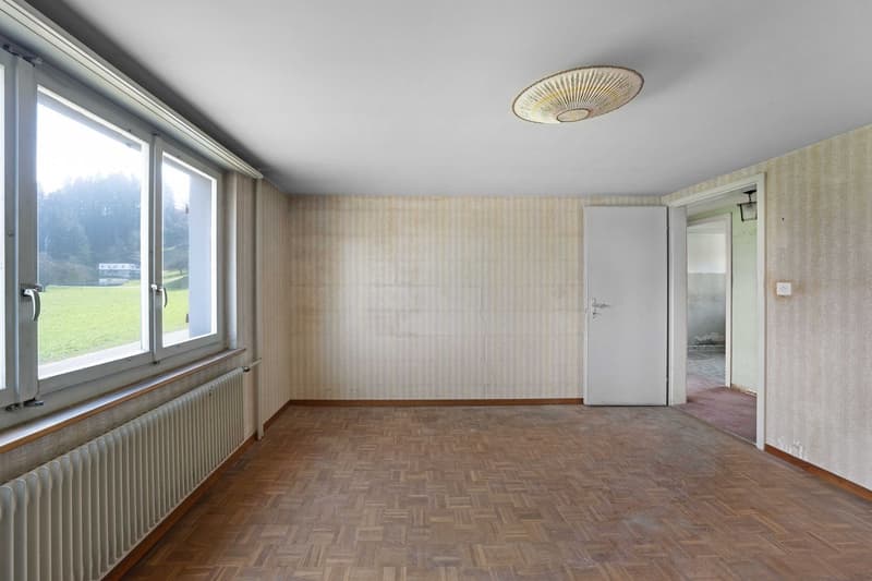 Maison unifamiliale (4)