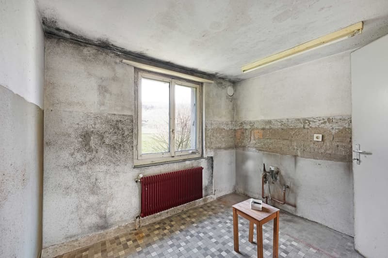 Maison unifamiliale (7)