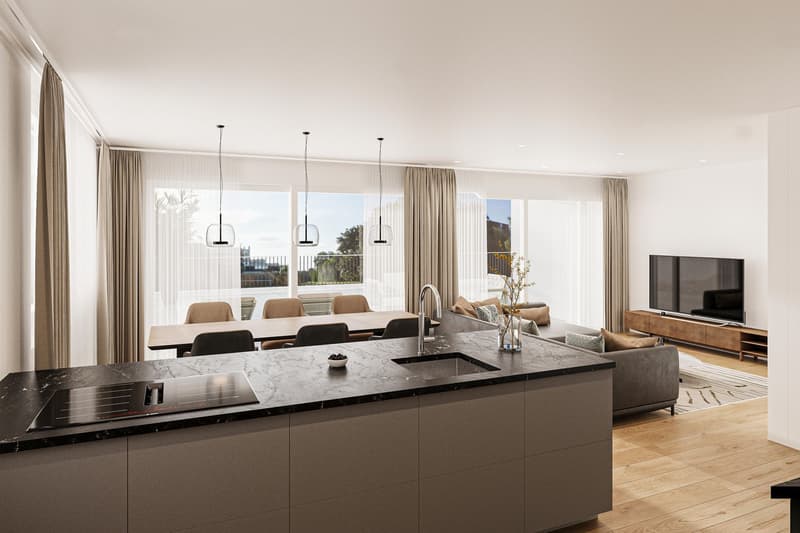 Projet de construction neuve "HUS Nöllen" (4)