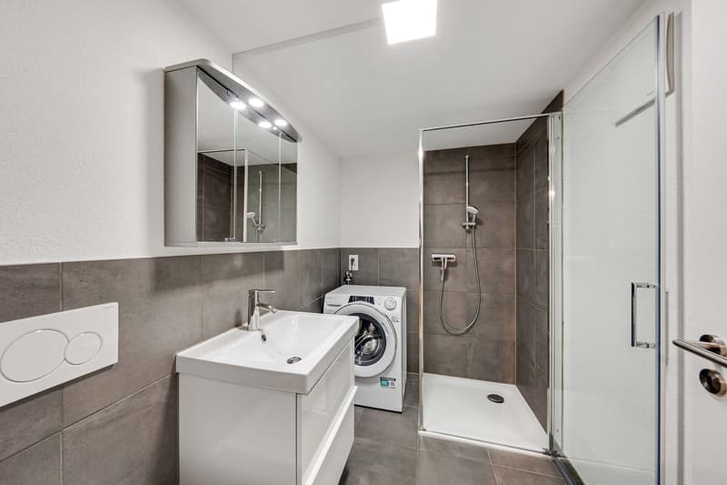 Maison unifamiliale avec annexe (11)
