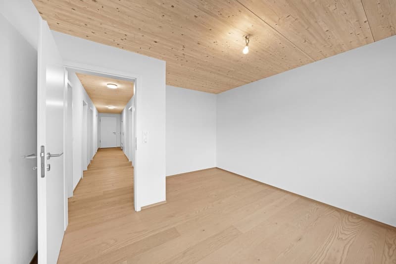 Appartement 4.5 pièces (5)
