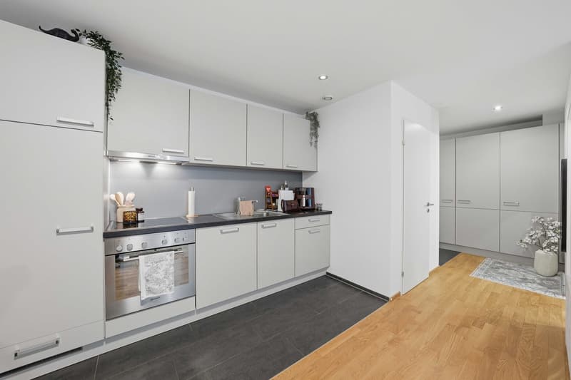 Appartement 2.5 pièces (3)