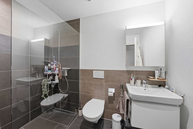 Appartement 2.5 pièces (8)