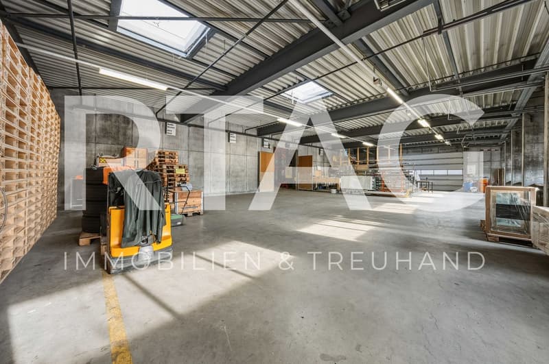 Gewerbe mit Hochregallager (1)