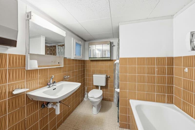 Maison unifamiliale avec grange (10)
