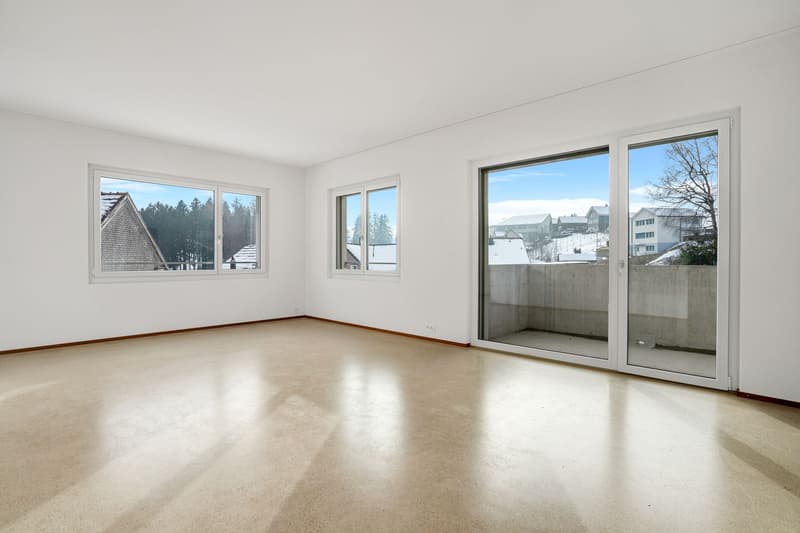 Appartement 4,5 pièces (3)