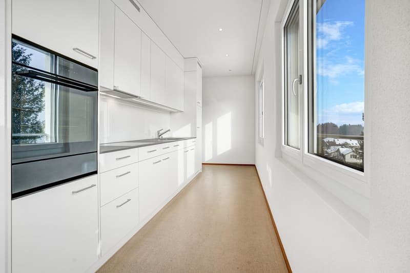Appartement 4,5 pièces (2)