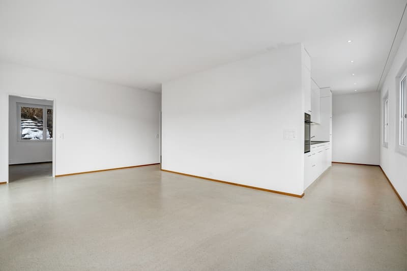 Appartement 4,5 pièces (7)