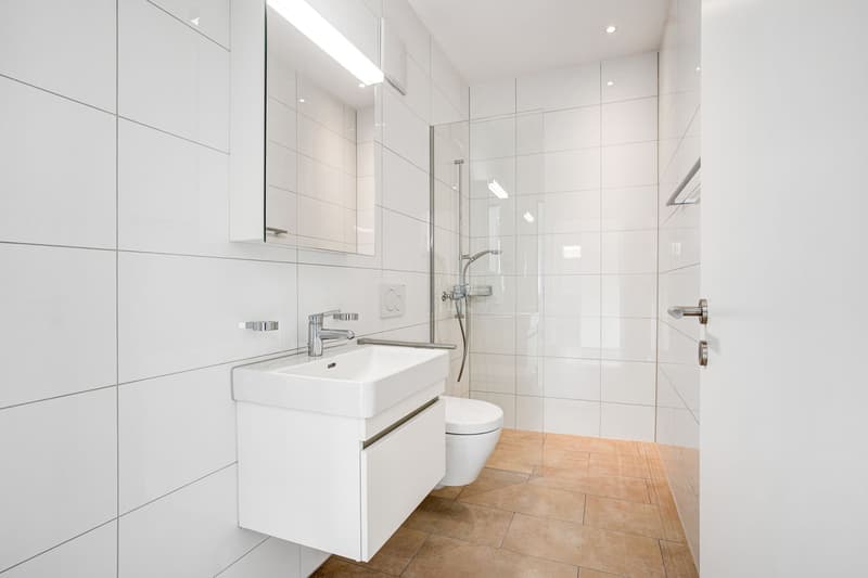 Appartement 4,5 pièces (5)