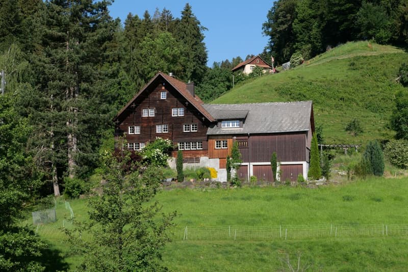 Double-family house (2)