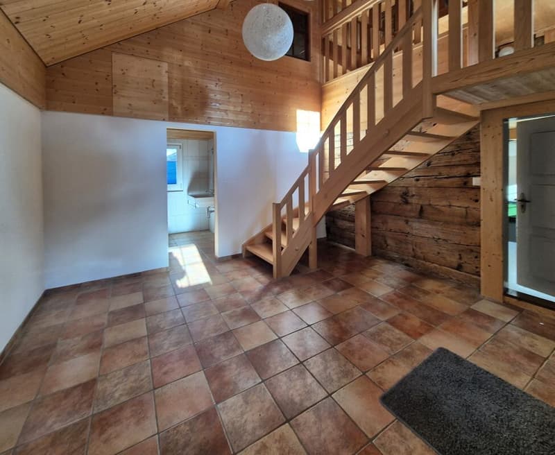 Double-family house (11)