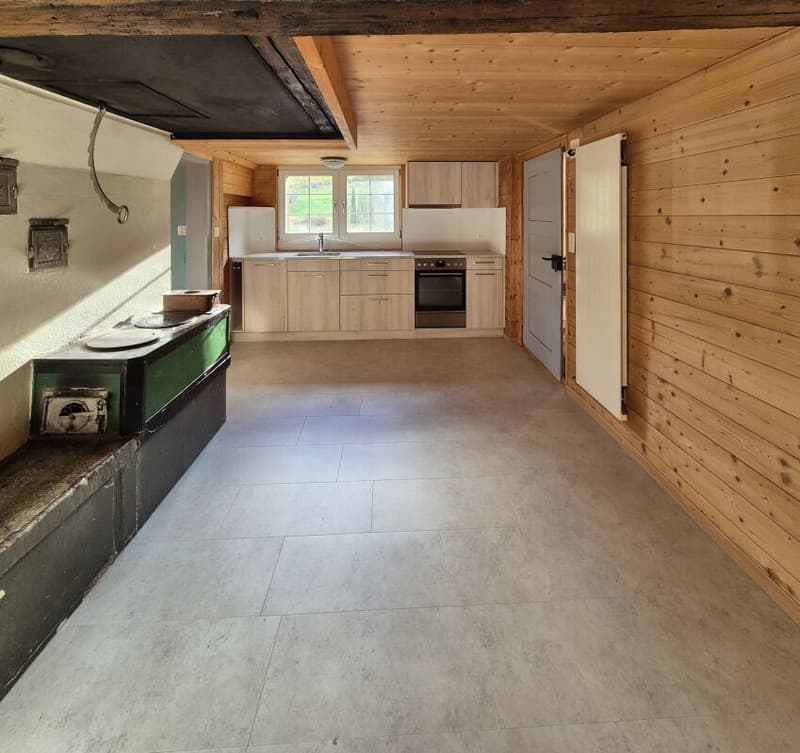 Double-family house (4)