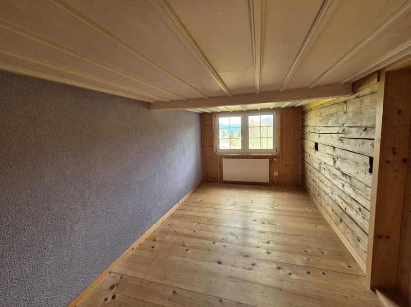 Double-family house (9)