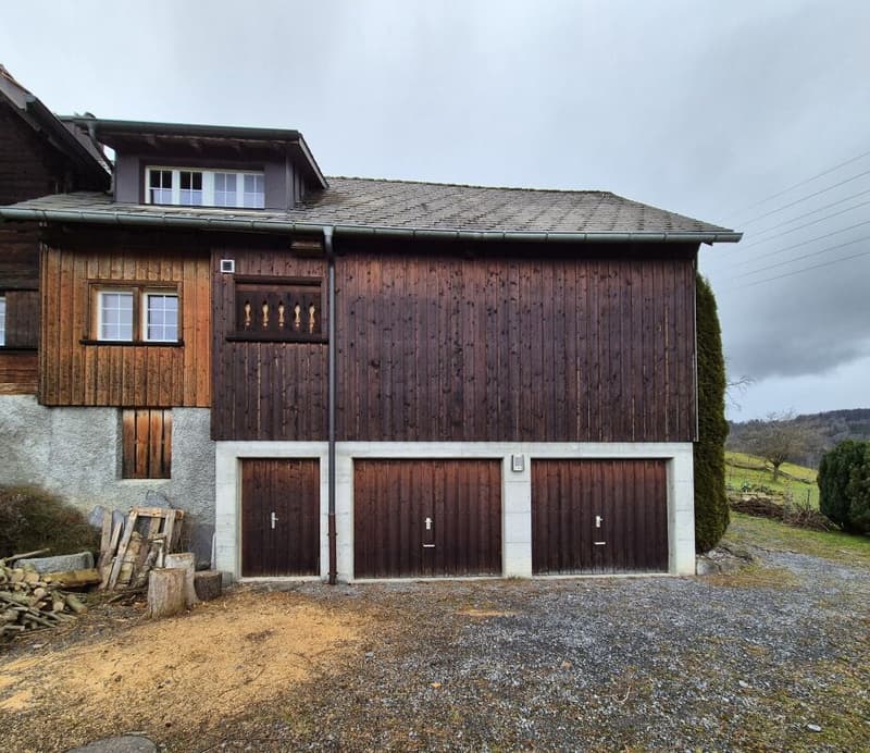 Double-family house (15)