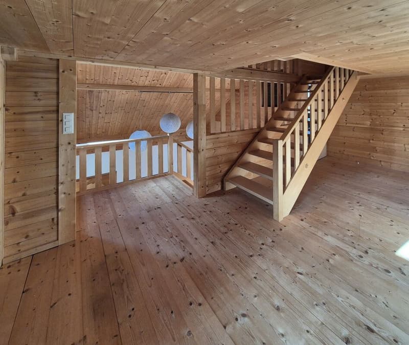 Double-family house (10)