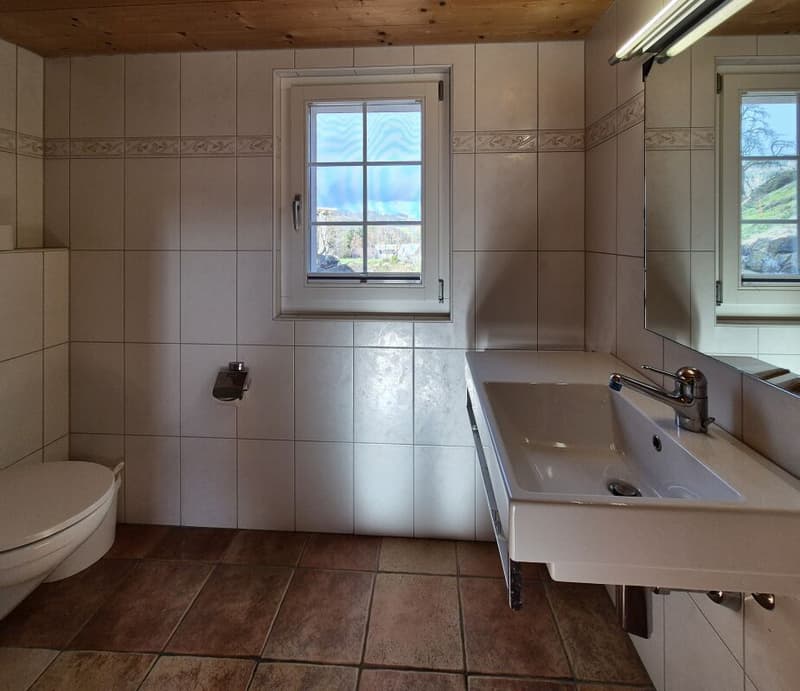 Double-family house (14)