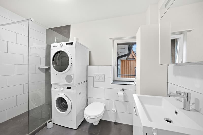 3.5-Room Apartment (7)