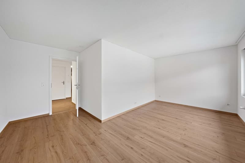 3.5-Room Apartment (5)