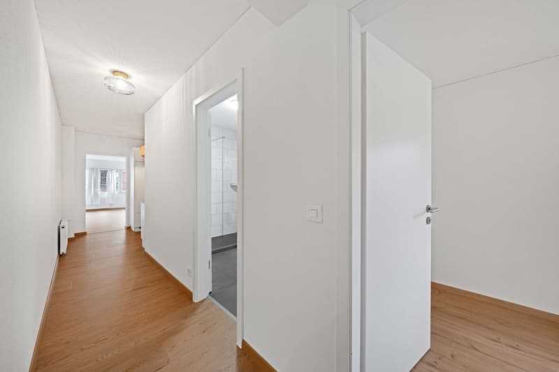 3.5-Room Apartment (4)