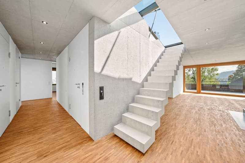 5.5-Zimmer-Attikawohnung (13)