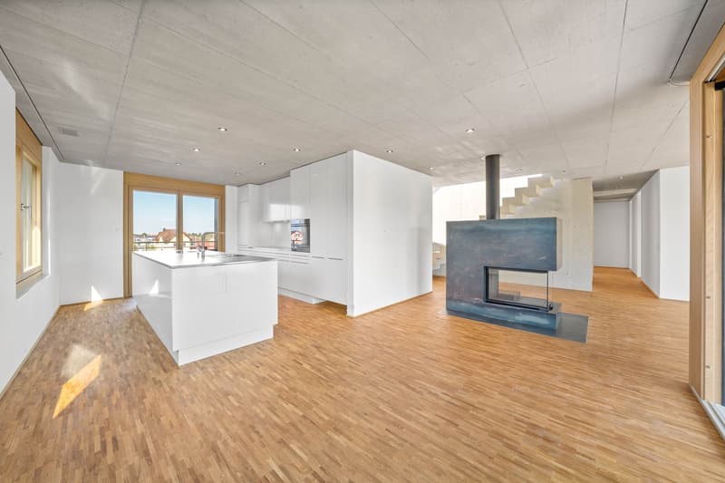 5.5-Zimmer-Attikawohnung (3)