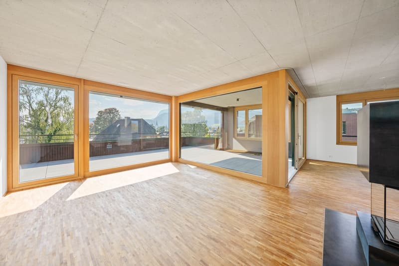 5.5-Zimmer-Attikawohnung (7)