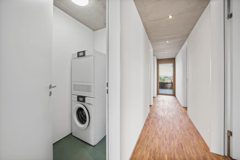 5.5-Zimmer-Attikawohnung (9)