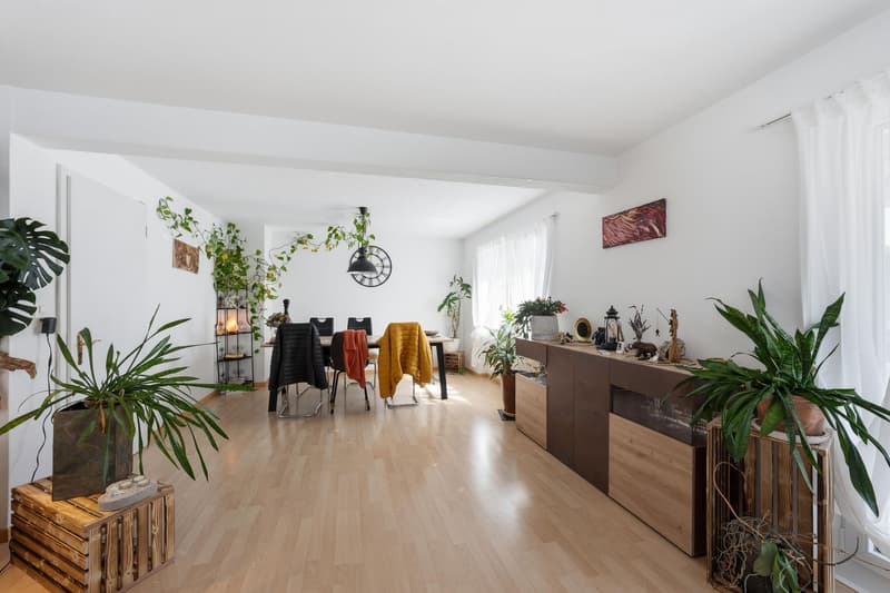 Maison à deux familles (5)