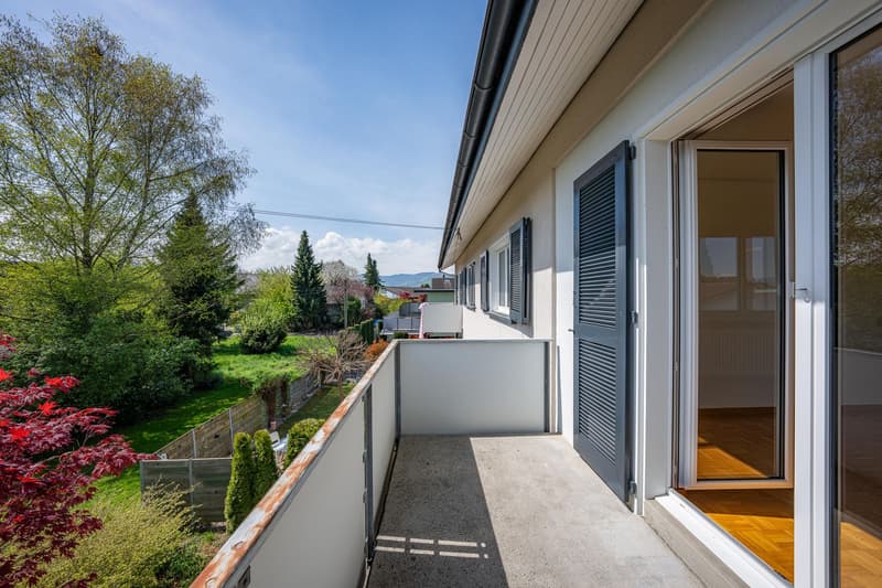 Double-family house (11)