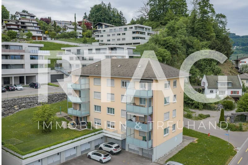 4.5-Zimmer-Wohnung (1)