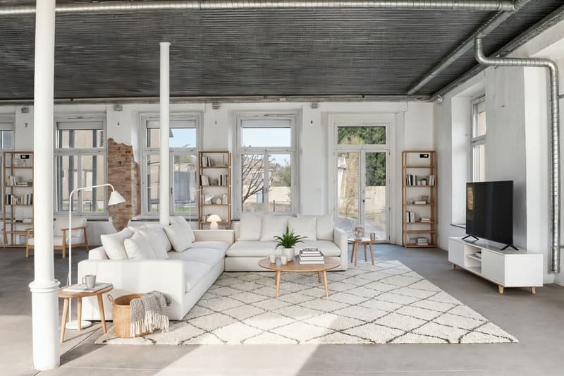 Appartement loft (6)